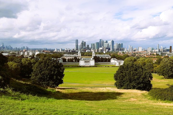 a large green field with trees in the background